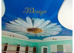 SDesign