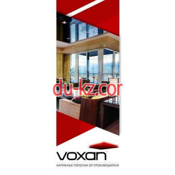 Компания Voxan